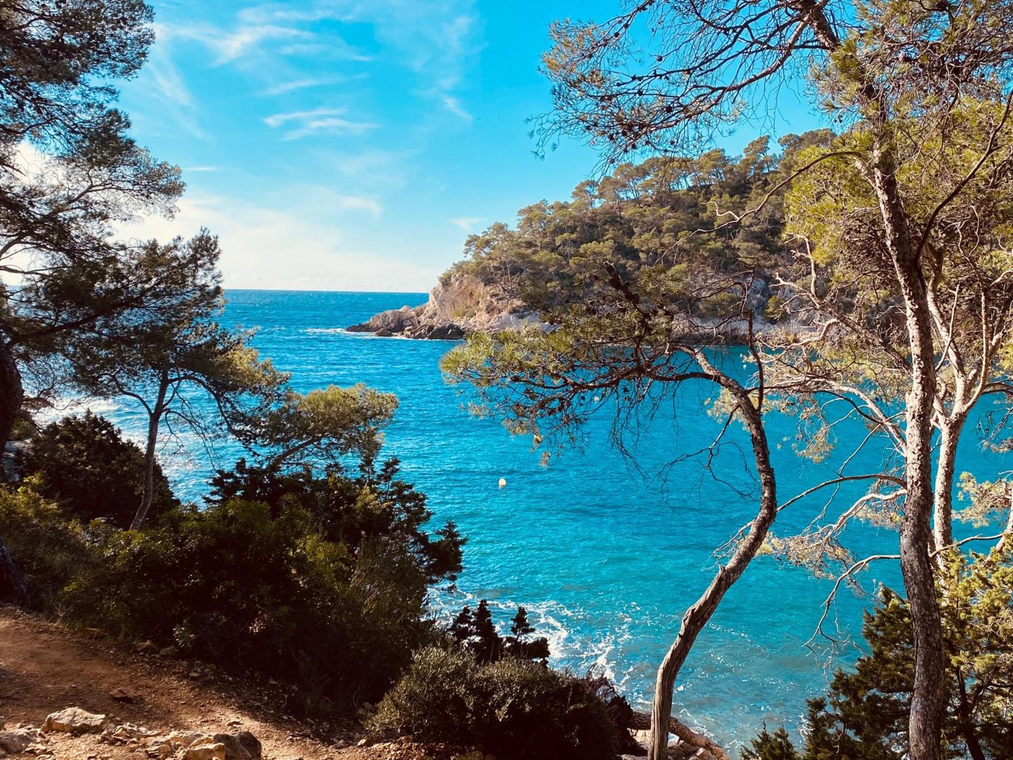 Lodge entre ciel et mer Saint-Cyr-sur-Mer Extérieur photo